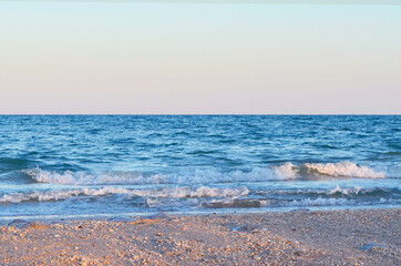 seashore with big waves