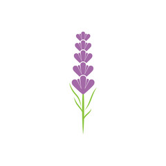 Obraz na płótnie Canvas Lavender Logo Template vector symbol