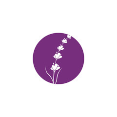 Lavender Logo Template vector symbol