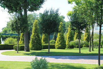 beautiful nature in the park with fountains