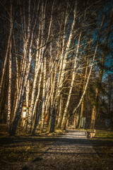 Fototapety na wymiar - Fototapeta24.pl