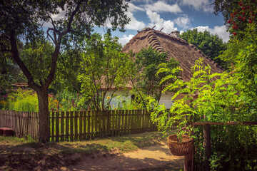 old house among trees against the backdrop of a beautiful sky
