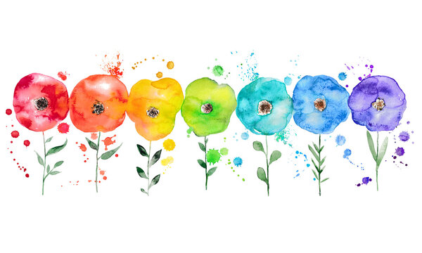 Watercolor illustration, colored flowers.Red, orange, yellow,  purple as Rainbow colors .Watercolor splashes.