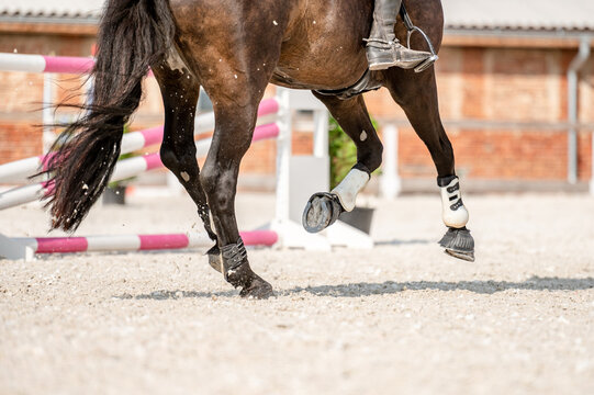 Detail of horse hooves from showjumping competition.