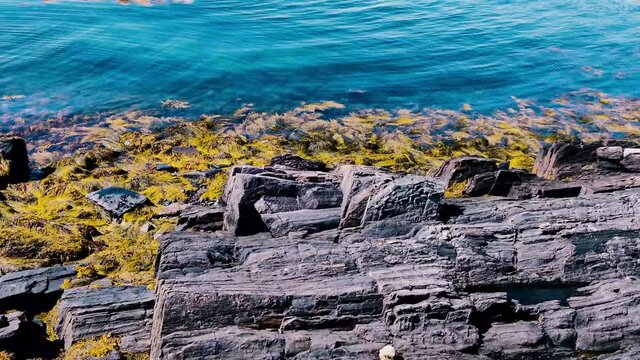 Granite rocks with seaweed at low tide in Mackerel Bay, Harpswell, Maine 4K
