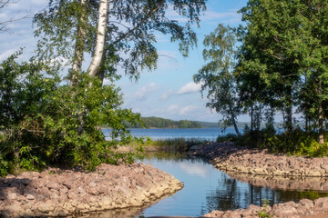 Rocky shores of the gulf of finland of the baltic sea with pines and spruces growing on them