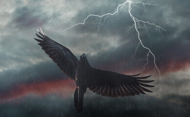 black raven spreading its wings flies into a storm against the background of lightning