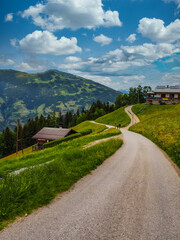 Fototapeta premium Feldweg über eine Alm in Tirol