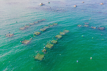 Fototapeta premium Lots of marine farms in a blue sea water. Sea farming concept
