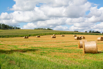 Fototapeta premium Hay bale. On a cleared field . Against the sky with clouds