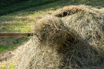 hay on a pitchfork. A stack of freshly mown grass. Concept of rural life