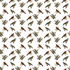 KTSP02 Birds Seamless Background Pattern illustration-Stock-Image-6000-6000