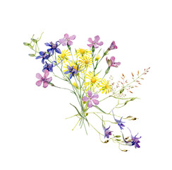 Watercolor multicolor flower composition on white background