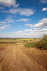 Fototapeta na wymiar Dirt road in countryside on background of fields and sky with clouds