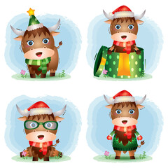cute buffalo christmas characters collection with a hat, jacket, scarf and gift box
