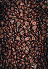 coffee beans background