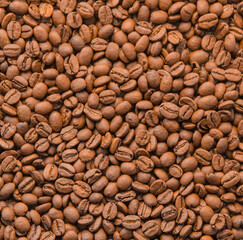 Top view of coffee beans background