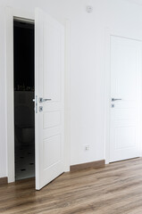 White doors and white walls in the new apartment in the Scandinavian style