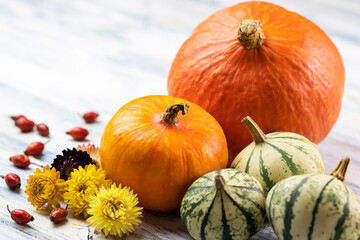 Autumn harvest festival. Pumpkins, gourd, rose hip  and dried flower on white wooden table. Thanksgiving day decoration