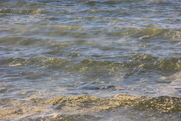 waste water in water bodies, turbidity on the water surface