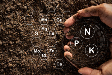 Soil texture background, Fertile loam soil suitable for planting.