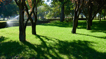 bright day in the city Park, green grass lawn and trees, watering plants