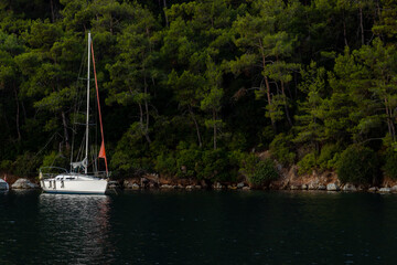 Sailboat in the Sea with the forest background 