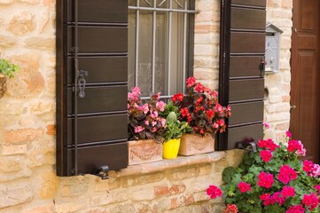 Wooden shutters near pink flowers and plants outside the window (Pesaro, Italy, Europe)