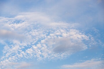 Fototapeta premium Cirrocumulus clouds in the light blue sky background