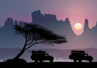 Raid au désert B © Graphithèque