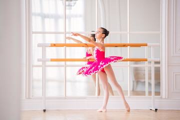 little ballerina in a bright pink tutu is engaged in a ballet barre in front of a mirror in a...