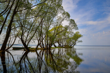 Bank of lake Pleshcheyevo in Pereslavl-Zalessky in spring