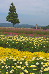 Fototapeta premium a woman in the follower garden