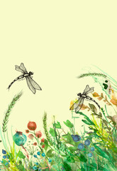 Watercolor illustration. background with floral pattern - grass, wild plants of green color. Watercolor card, , invitation. green watercolor natural. Landscape - blooming field. The dragonfly flies.