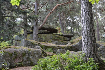 Les rochers tremblants du Grand Hohnack, un site mystique