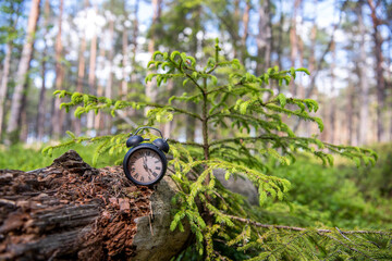 Retro alarm clock in green forest. Abstract photo of time.