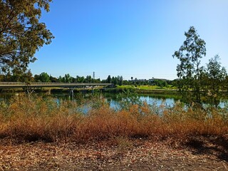Lago en el parque