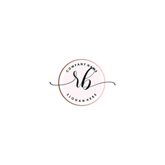 RB Initial handwriting logo template vector
