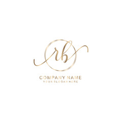 RB Initial handwriting logo template vector
