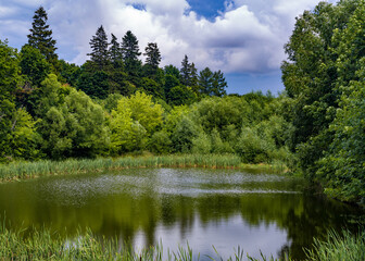 Obraz premium Peaceful summer landscape with forest and a pond.
