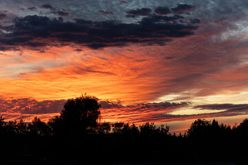 Sonnenuntergang, Wolken, Silhoutte, Abendstimmung, romantisch, Baum, Baumsilhoutte, Himmel, feuerrot, Abenddämmerung