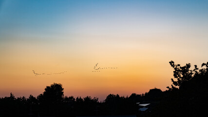 Sonnenuntergang, Wolken, Silhoutte, Abendstimmung, romantisch, Baum, Baumsilhoutte, Himmel,...