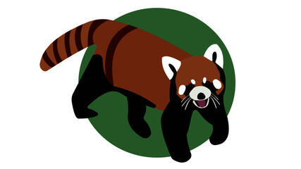 Red Panda