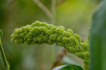 Natur Outdoor Farbe Color daylight