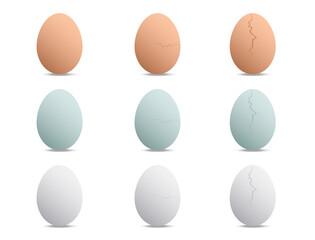 Eggs of several types and wholes