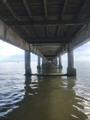 Under the dock 4