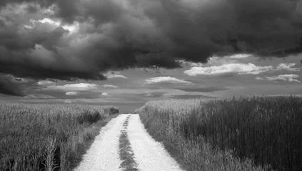 Fototapeten Weg © KrzysztofAleksander