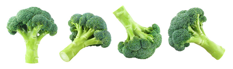 Delicious broccoli collection, isolated on white background