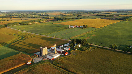 Aerial view of farm, red barns, corn field in September. Harvest season. Rural landscape, american...