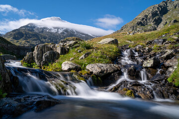 in der Schweiz großer sankt Bernhard im Sommer
